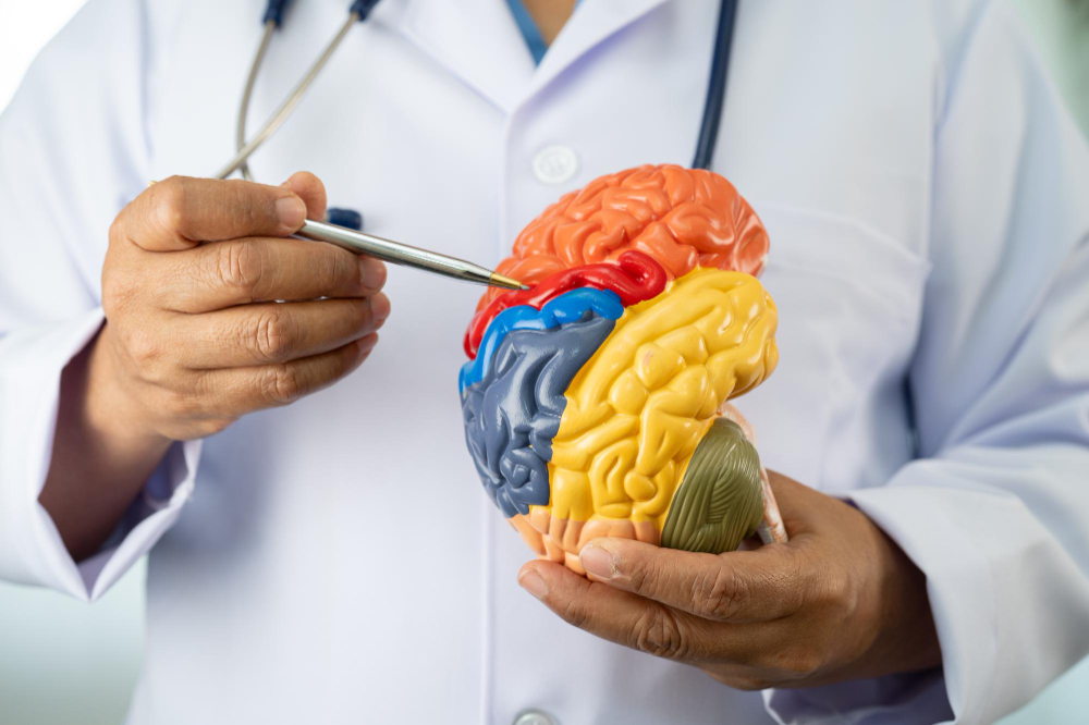 Medico explicando la meningitis y sus síntomas o tratamiento